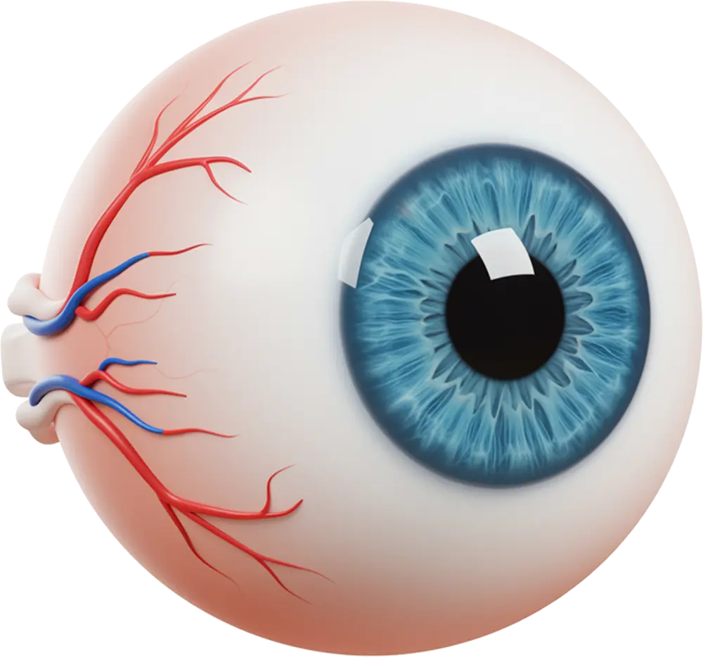 Local Eye Care in Tx